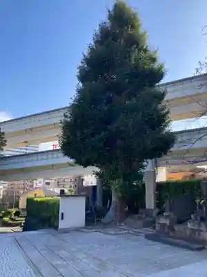 勧行寺(神奈川県)