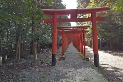 南宮稲荷大明神の鳥居