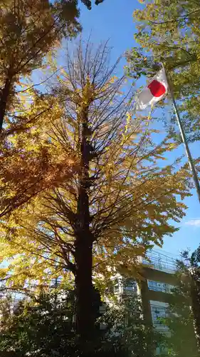 阿佐ヶ谷神明宮の自然