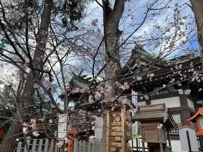 川越八幡宮(埼玉県)