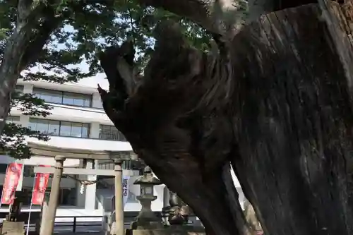 阿邪訶根神社の鳥居