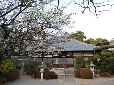 天桂院の本殿・本堂