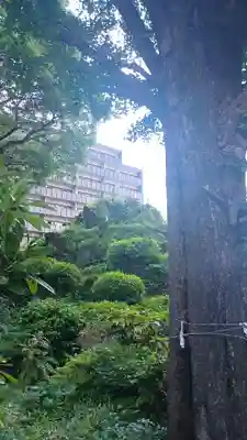 成子天神社(東京都)
