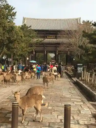 東大寺の山門・神門