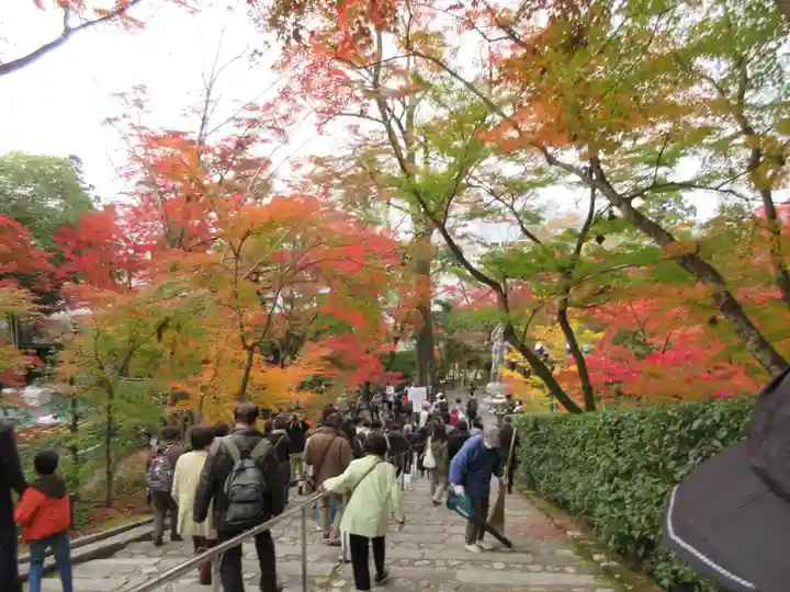 禅林寺(永観堂)の自然