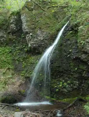 虚空蔵尊南光院の自然