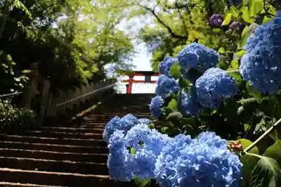 丹生官省符神社のその他建物