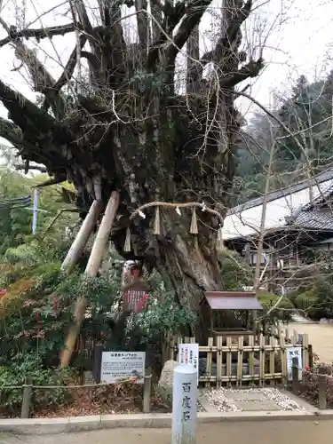 葛城一言主神社のその他建物