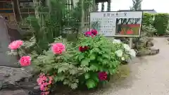 恩林寺(群馬県)