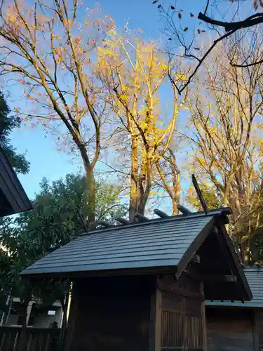 富岡八幡宮(東京都)