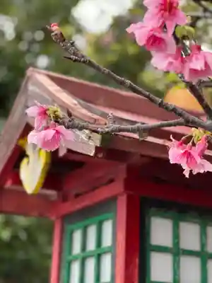 出雲大社沖縄分社の自然