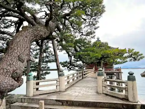 満月寺（浮御堂）の建物その他