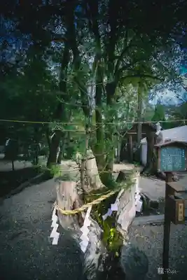 大和神社(奈良県)