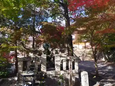 光明寺（粟生光明寺）(京都府)