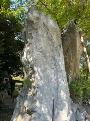 雀神社(茨城県)