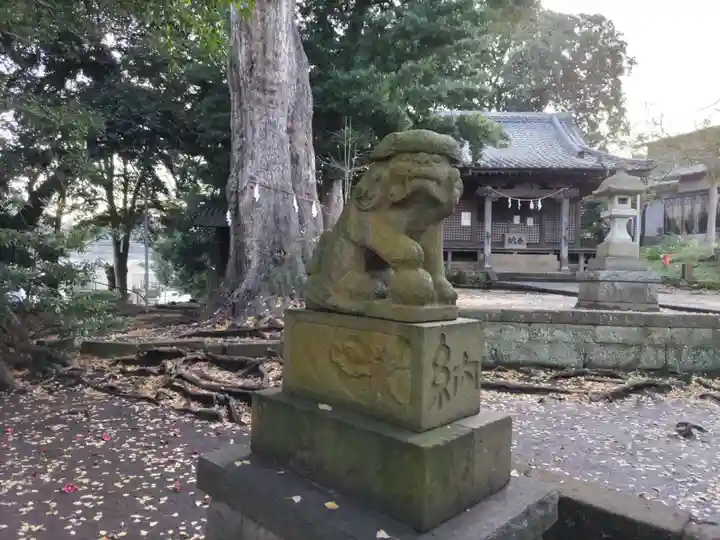 五霊神社の狛犬