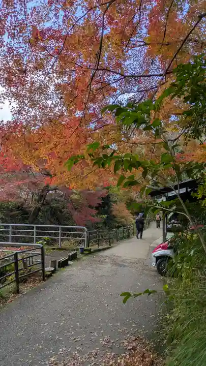 服部神社(京都府)