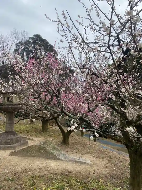 岩津天満宮(愛知県)