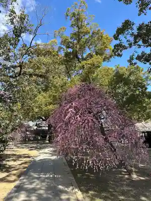 屯倉神社(大阪府)