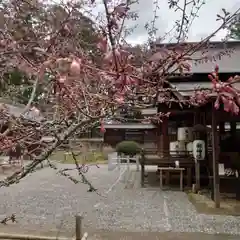 小御門神社の建物その他