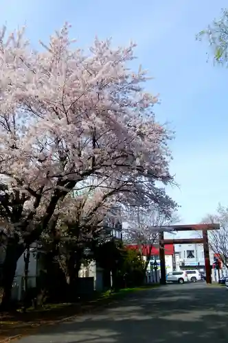 豊平神社の自然