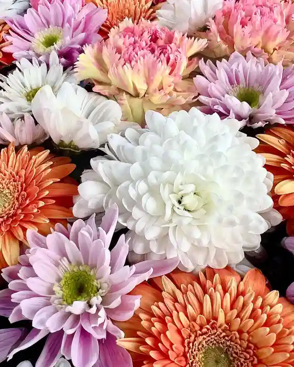 鹿島台神社の手水舎