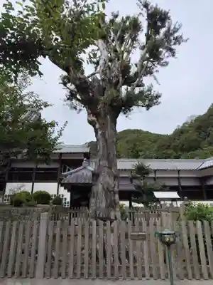 大日寺(徳島県)