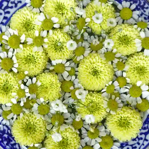 帯廣神社の手水舎