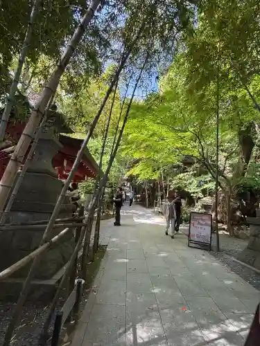 來宮神社の{uncategorized: "未分類", other: "その他", undefined: "問題あり", building: "その他建物", grave: "お墓", sacred_gate: "鳥居", guardian: "狛犬", statue: "像", buddha: "仏像", history: "歴史", nature: "自然", garden: "庭園", animal: "動物", pagoda: "塔", temizu: "手水舎", mountain_gate: "山門・神門", sanctuary: "本殿・本堂", subordinate: "末社・摂社", art: "芸術", scenery: "景色", jizo: "地蔵", ema: "絵馬", goshuin: "御朱印", omikuji: "おみくじ", items: "授与品その他", amulet: "お守り", goshuincho: "御朱印帳", eats: "食事", festival: "お祭り", votive_dance: "神楽", shichigosan: "七五三参", wedding: "結婚式", experience: "体験その他", initially: "初詣", around: "周辺", anti_infection: "感染症対策"}