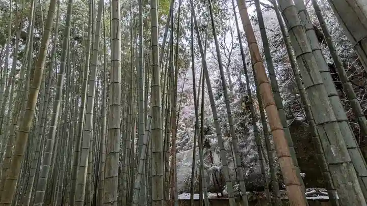 圓光寺(京都府)