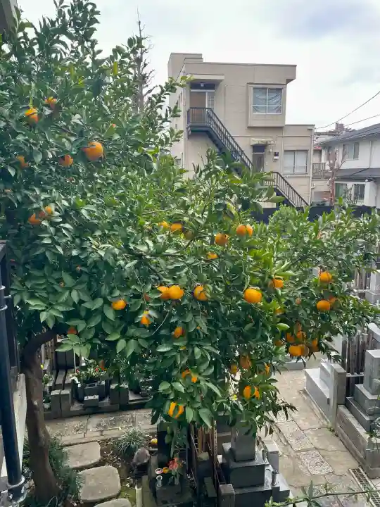大龍寺の{uncategorized: "未分類", other: "その他", undefined: "問題あり", building: "その他建物", grave: "お墓", sacred_gate: "鳥居", guardian: "狛犬", statue: "像", buddha: "仏像", history: "歴史", nature: "自然", garden: "庭園", animal: "動物", pagoda: "塔", temizu: "手水舎", mountain_gate: "山門・神門", sanctuary: "本殿・本堂", subordinate: "末社・摂社", art: "芸術", scenery: "景色", jizo: "地蔵", ema: "絵馬", goshuin: "御朱印", omikuji: "おみくじ", items: "授与品その他", amulet: "お守り", goshuincho: "御朱印帳", eats: "食事", festival: "お祭り", votive_dance: "神楽", shichigosan: "七五三参", wedding: "結婚式", experience: "体験その他", initially: "初詣", around: "周辺", anti_infection: "感染症対策"}