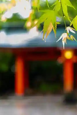 枚聞神社(鹿児島県)