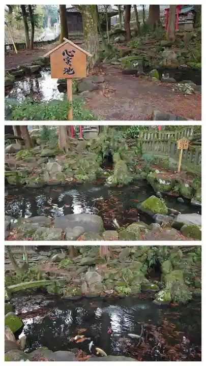 八幡朝見神社の動物