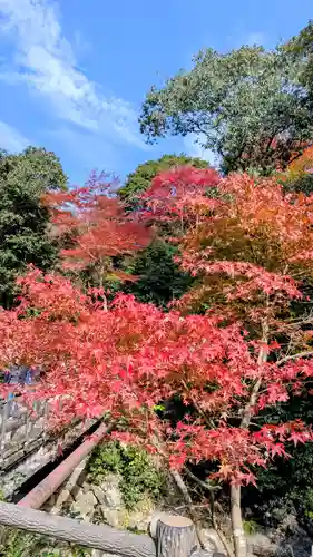 勝尾寺(大阪府)