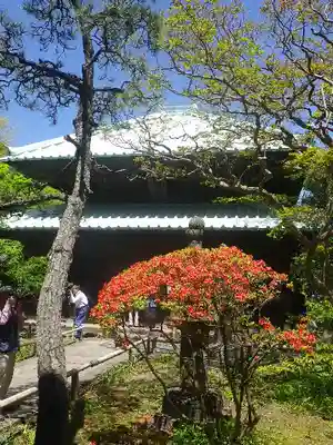 英勝寺の本殿・本堂