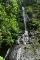 十輪寺(徳島県)