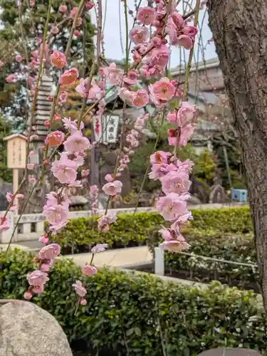常性寺(東京都)