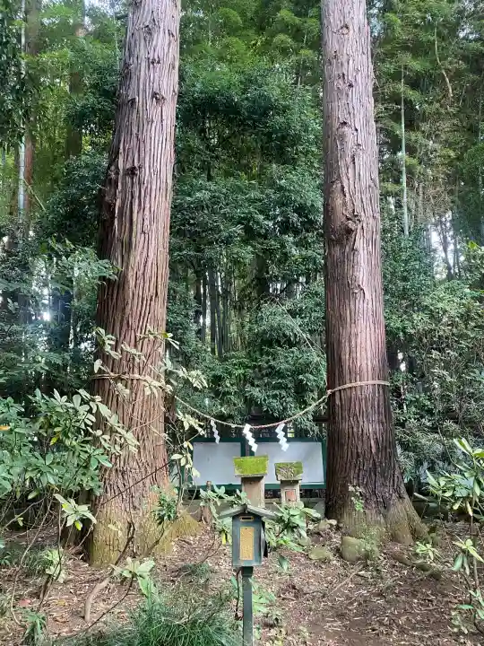 光丸山 法輪寺(栃木県)