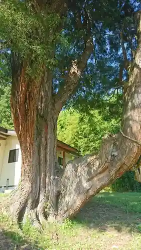 香取神社の自然