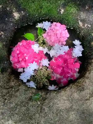 柳谷観音 楊谷寺の手水舎