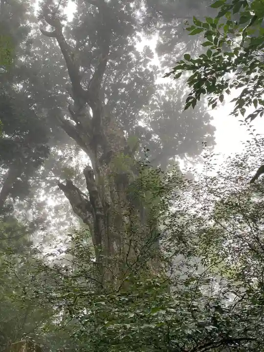 玉置神社(奈良県)