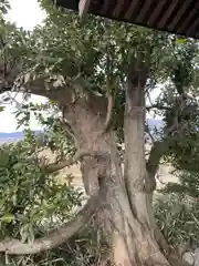 浮島稲荷神社の自然