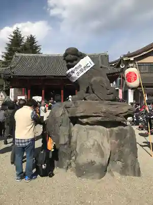 浅草神社の狛犬