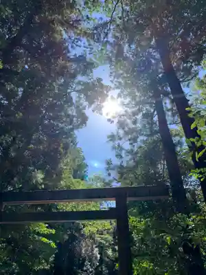 伊勢神宮内宮(皇大神宮)の鳥居
