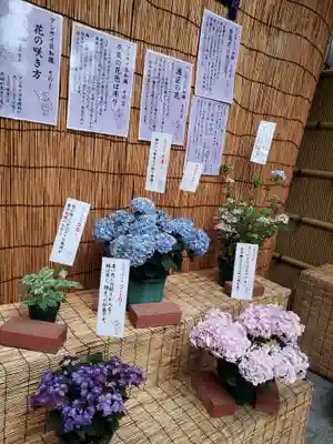 十番稲荷神社(東京都)