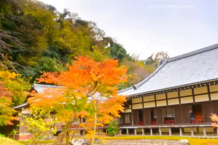 円覚寺(神奈川県)