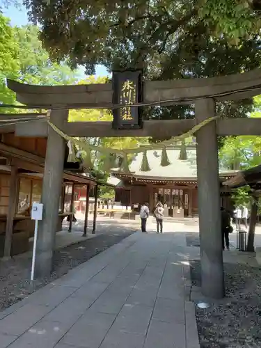 川越氷川神社(埼玉県)