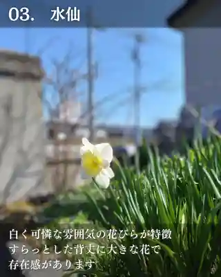 宝光寺(北海道)