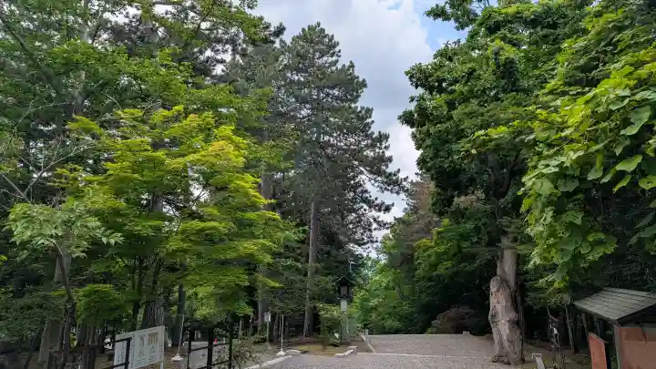 上川神社(北海道)