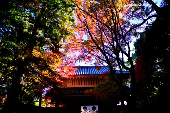 目の霊山 油山寺(静岡県)